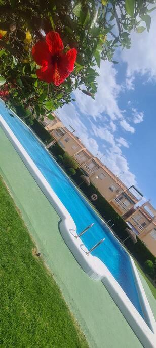 Bungalow Avec Piscine Torrevieja Buitenkant foto